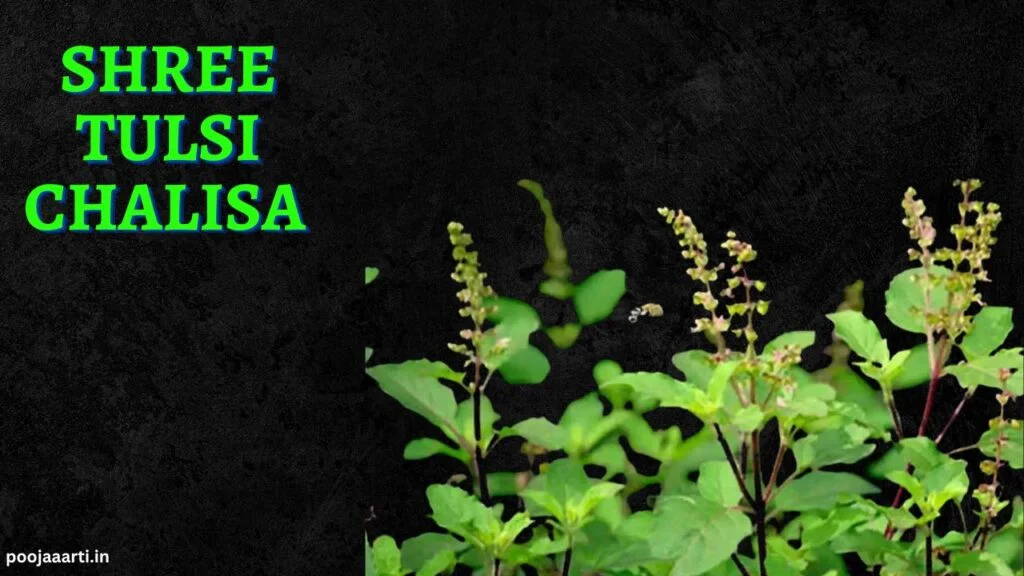 tusli english image