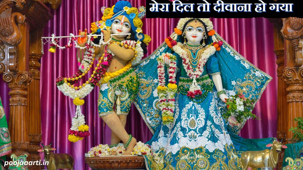मेरा दिल तो दीवाना हो गया (Mera Dil To Deewana Ho Gaya) 1 Mera Dil To Deewana Ho Gaya Image Hindi